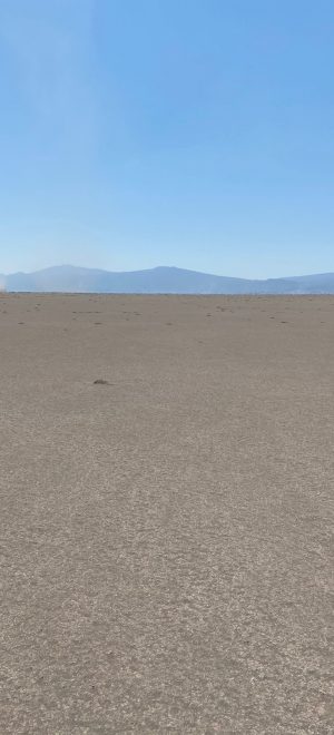 WhatsApp Image 2021-12-25 at 10.54.00 AM-4