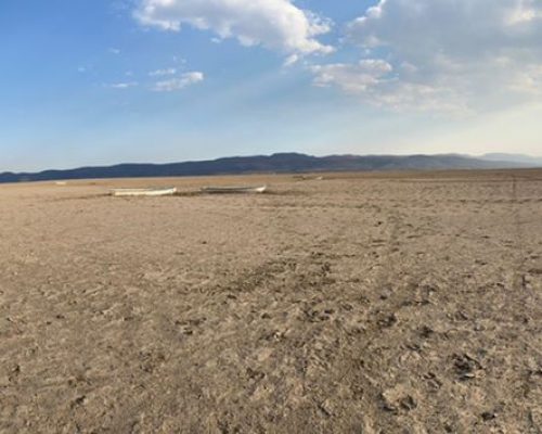 WhatsApp Image 2021-12-25 at 10.54.09 AM